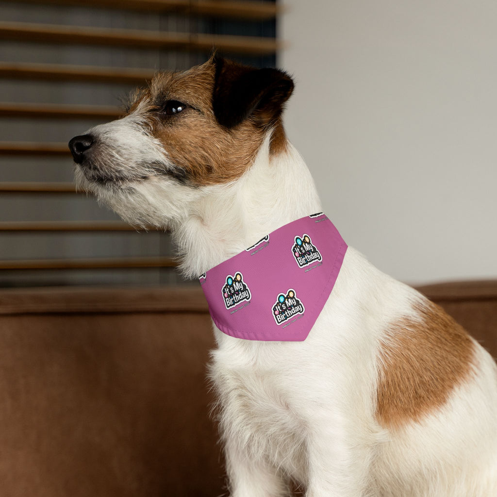 It's My Birthday Celebration Doggie Bandana Collar - Pink