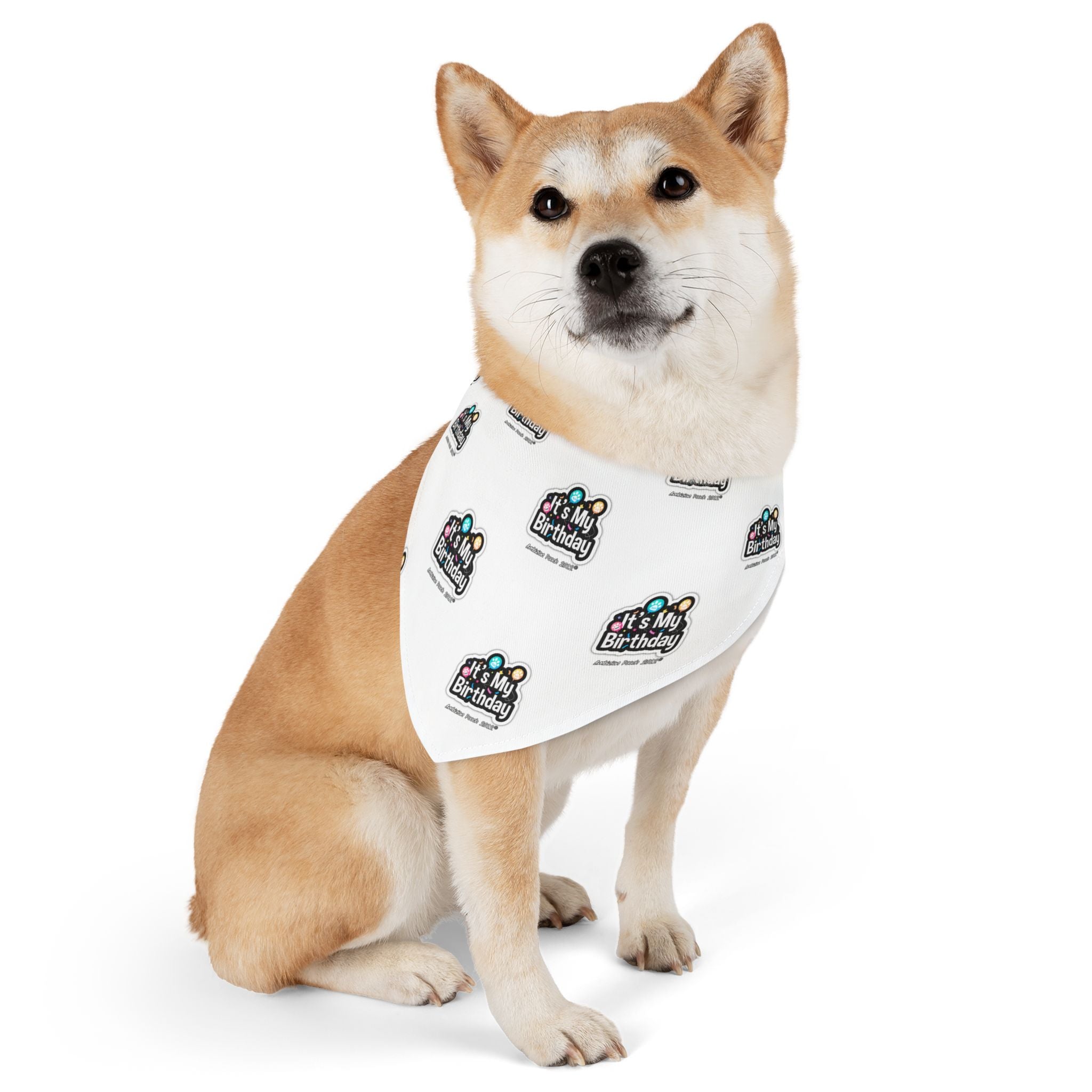 It's My Birthday Celebration Doggie Bandana Collar - White