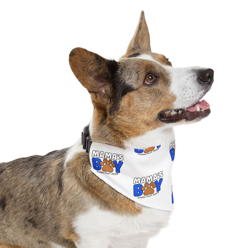 Mama's Boy Pet Bandana Collar White