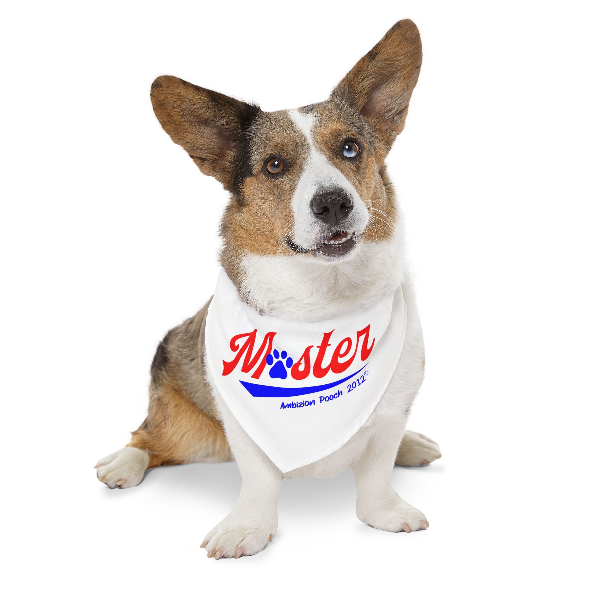 Pet Bandana Collar — Doggy Master "Servant" Matching Pet & Parent