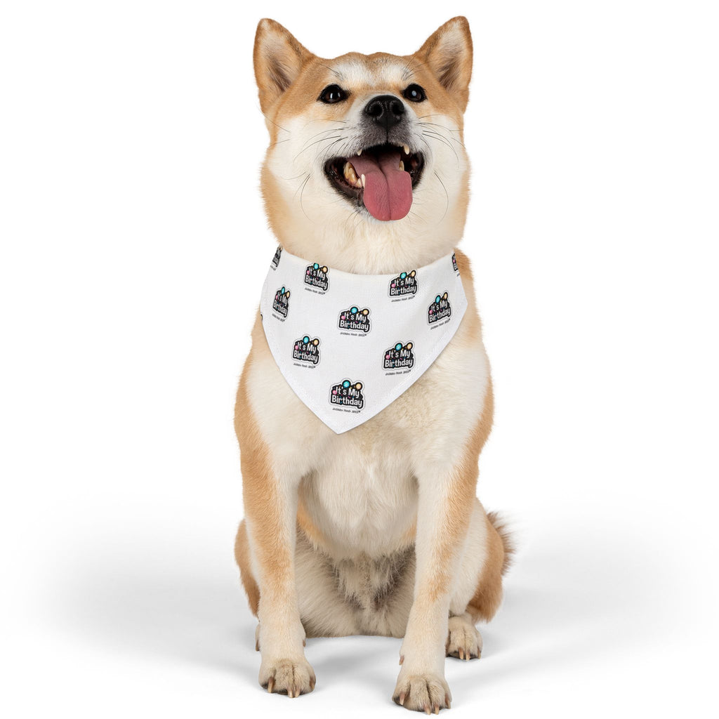 It's My Birthday Celebration Doggie Bandana Collar - White