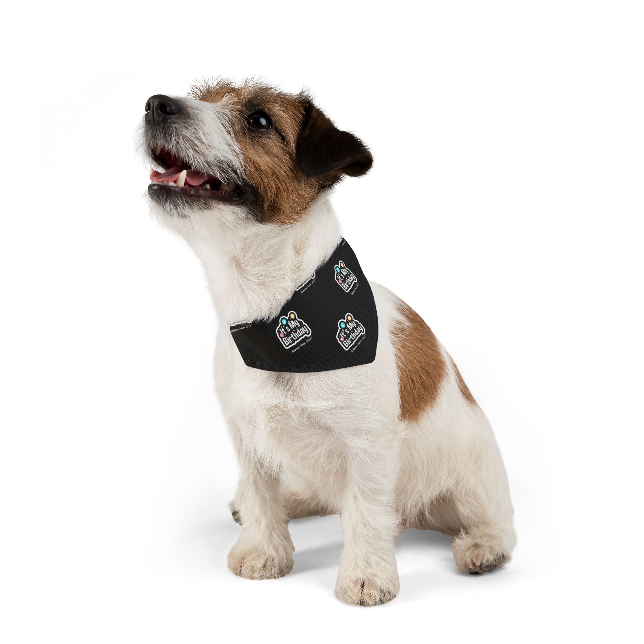 It's My Birthday Celebration Doggie Bandana Collar - Black