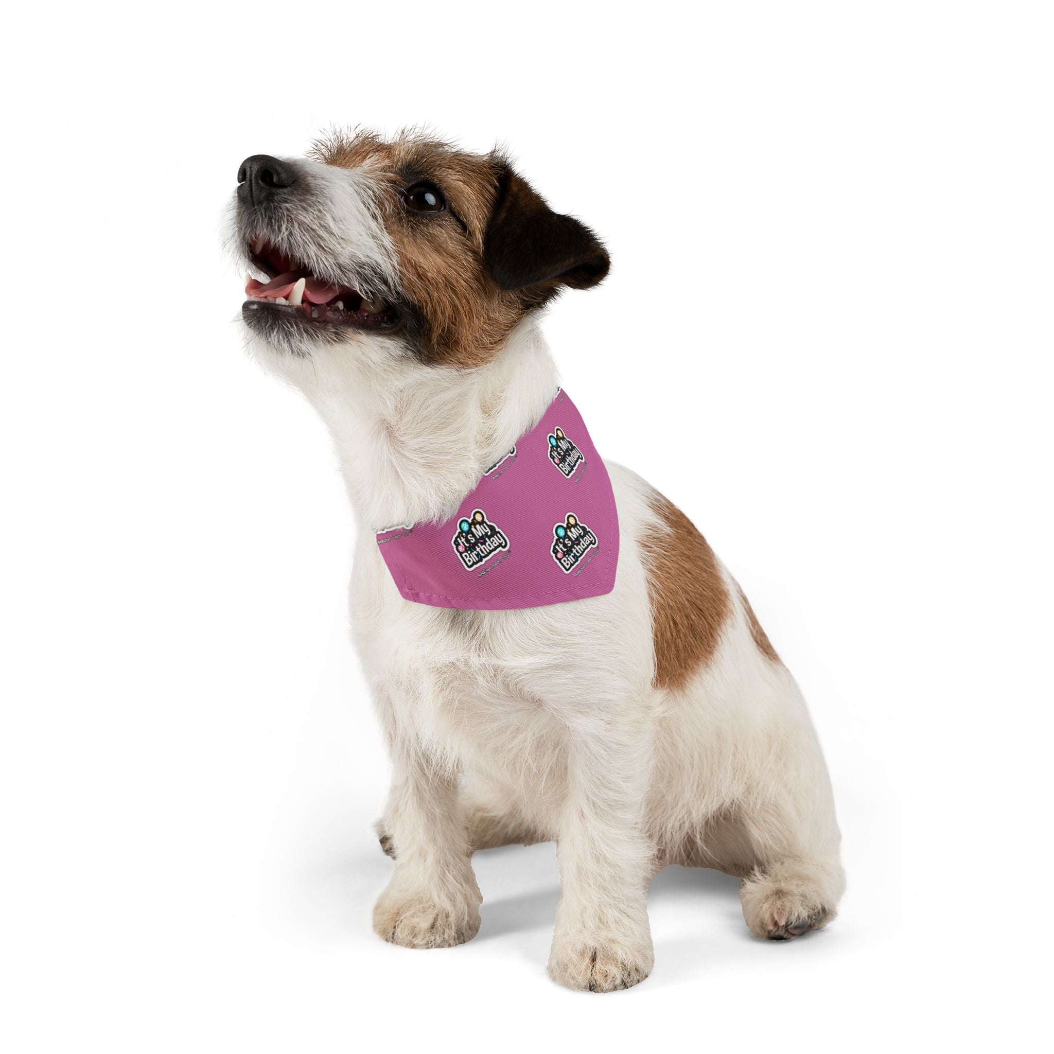 It's My Birthday Celebration Doggie Bandana Collar - Pink