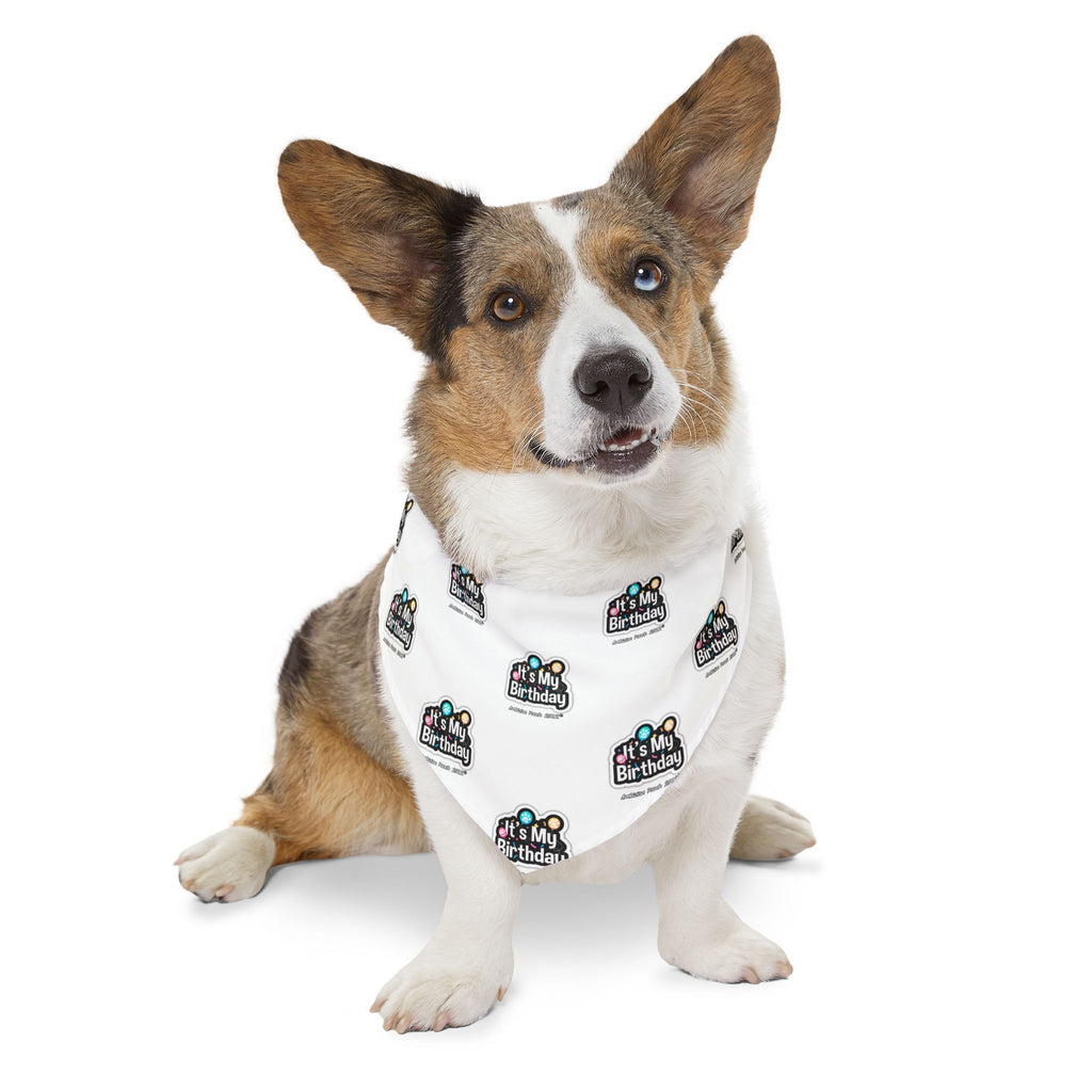 It's My Birthday Celebration Doggie Bandana Collar - White