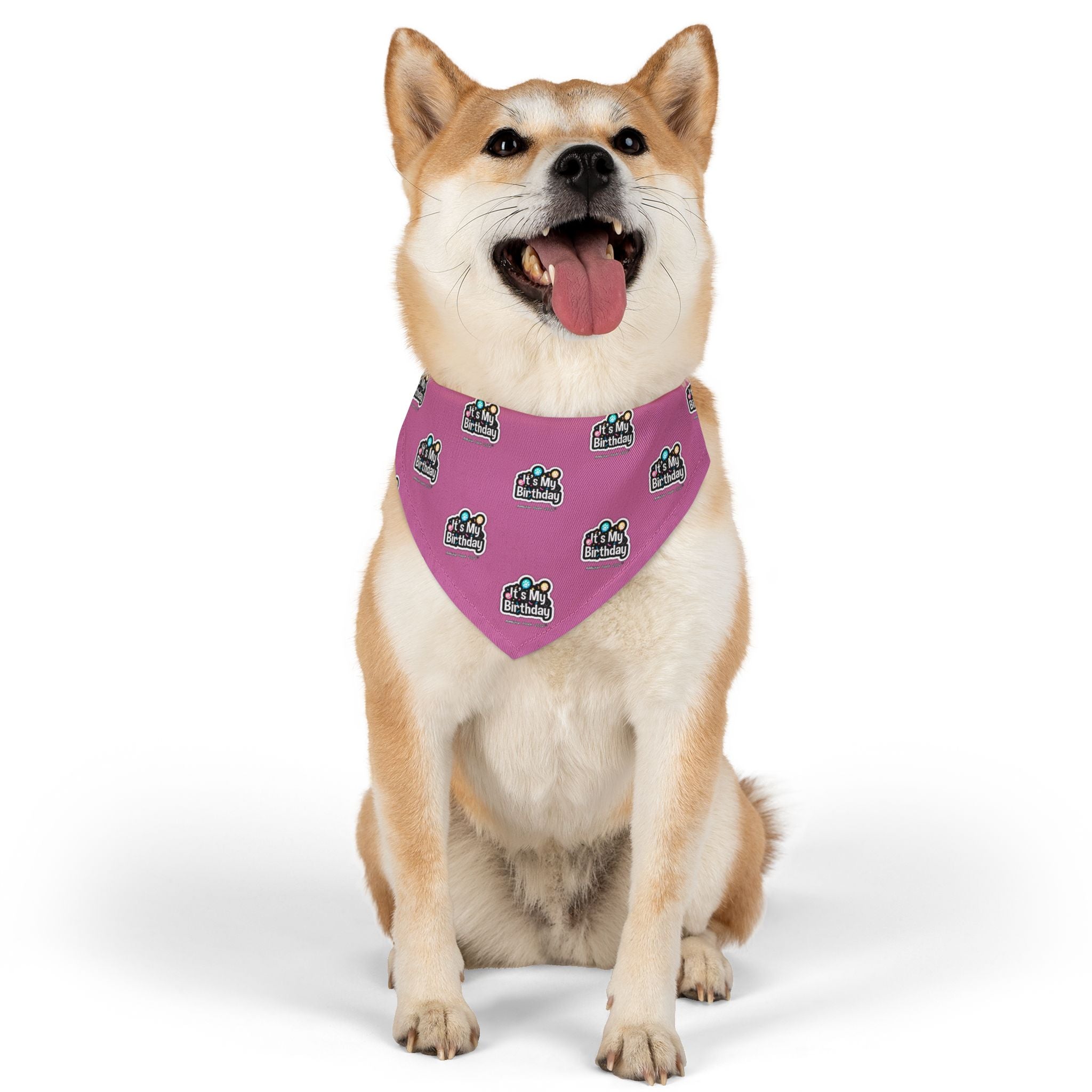 It's My Birthday Celebration Doggie Bandana Collar - Pink