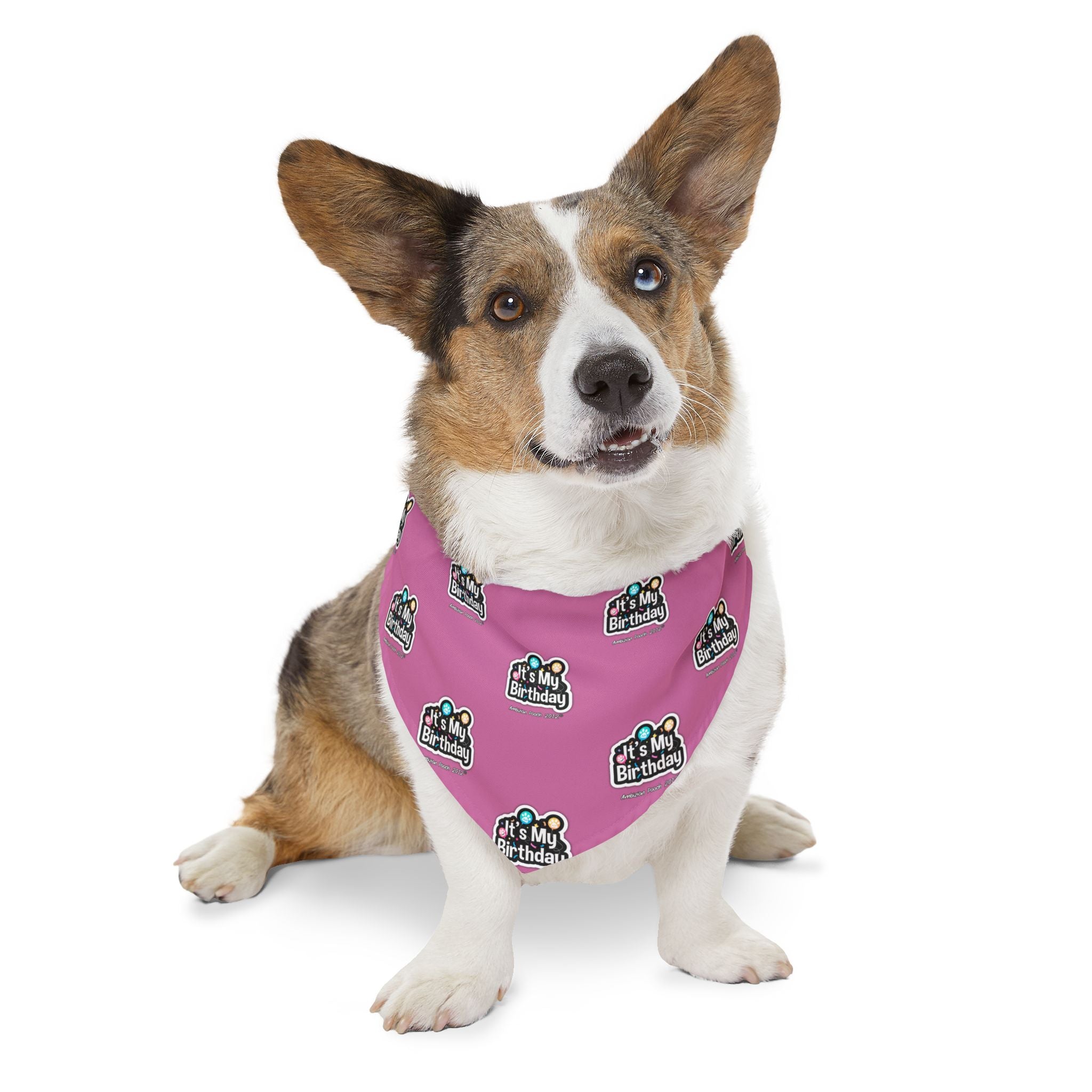 It's My Birthday Celebration Doggie Bandana Collar - Pink