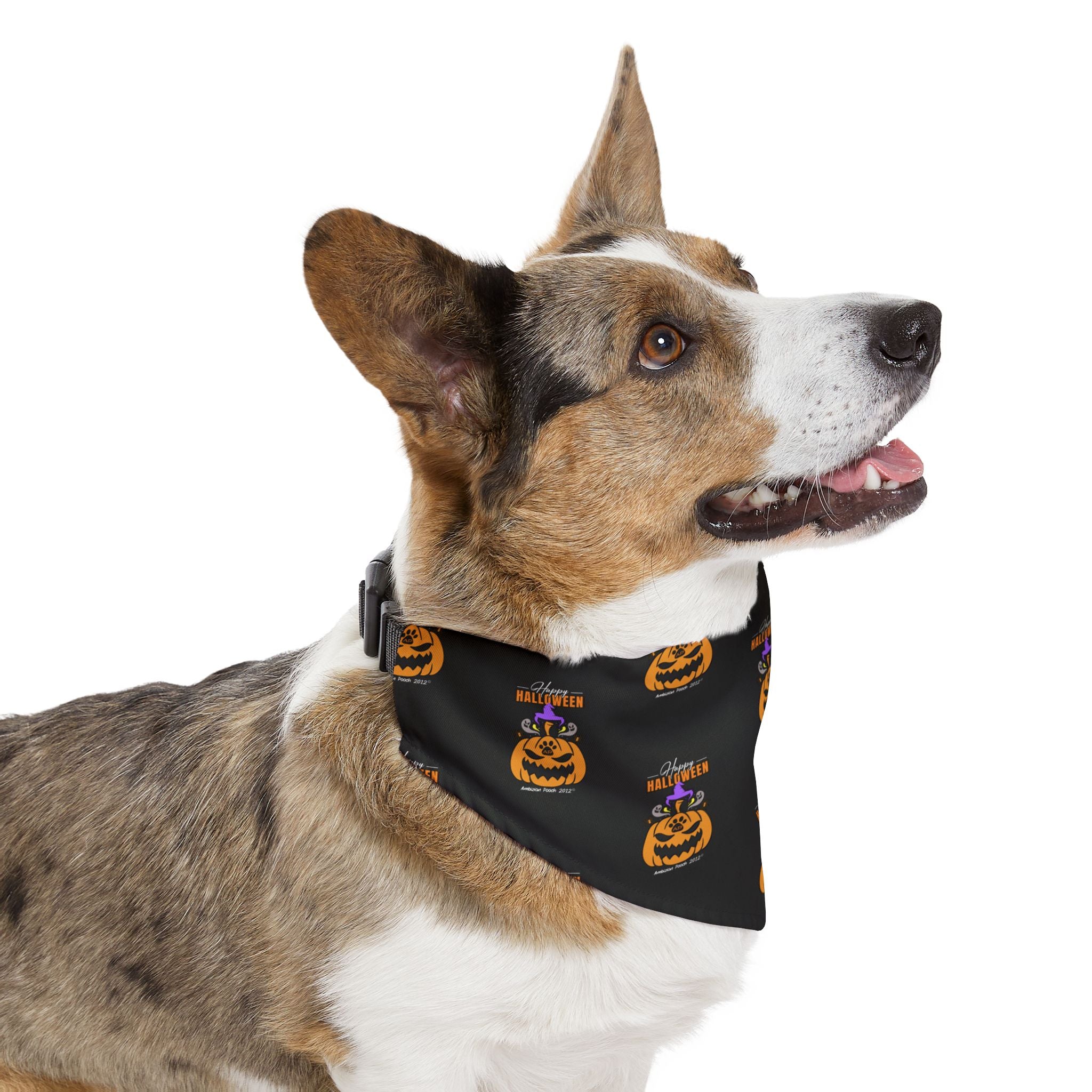 Happy Halloween Bandana Collar for Dogs - Black