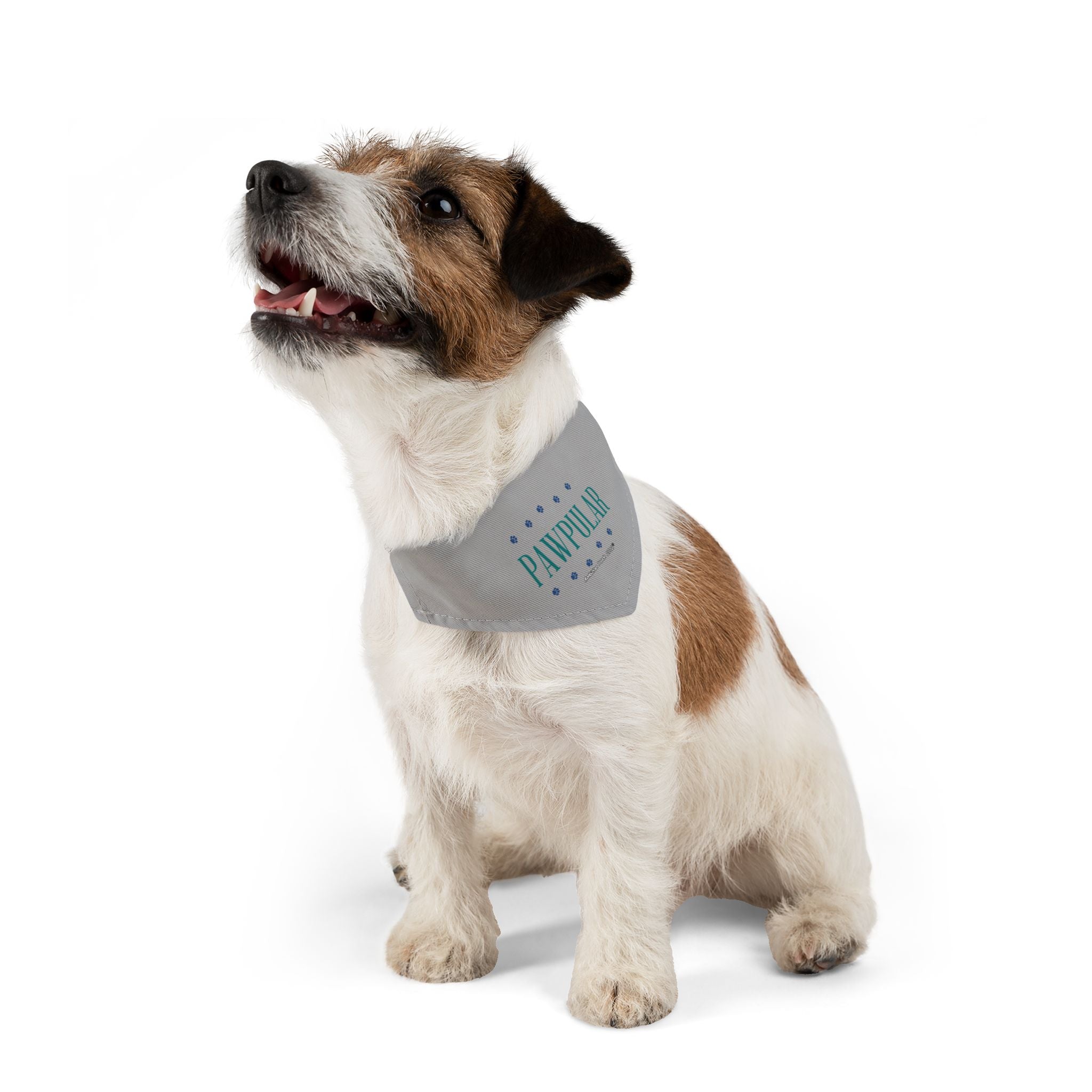 "Pawpular" Pet Bandana Collar — Doggy Parent "Invisible" Matching Pet & Parent