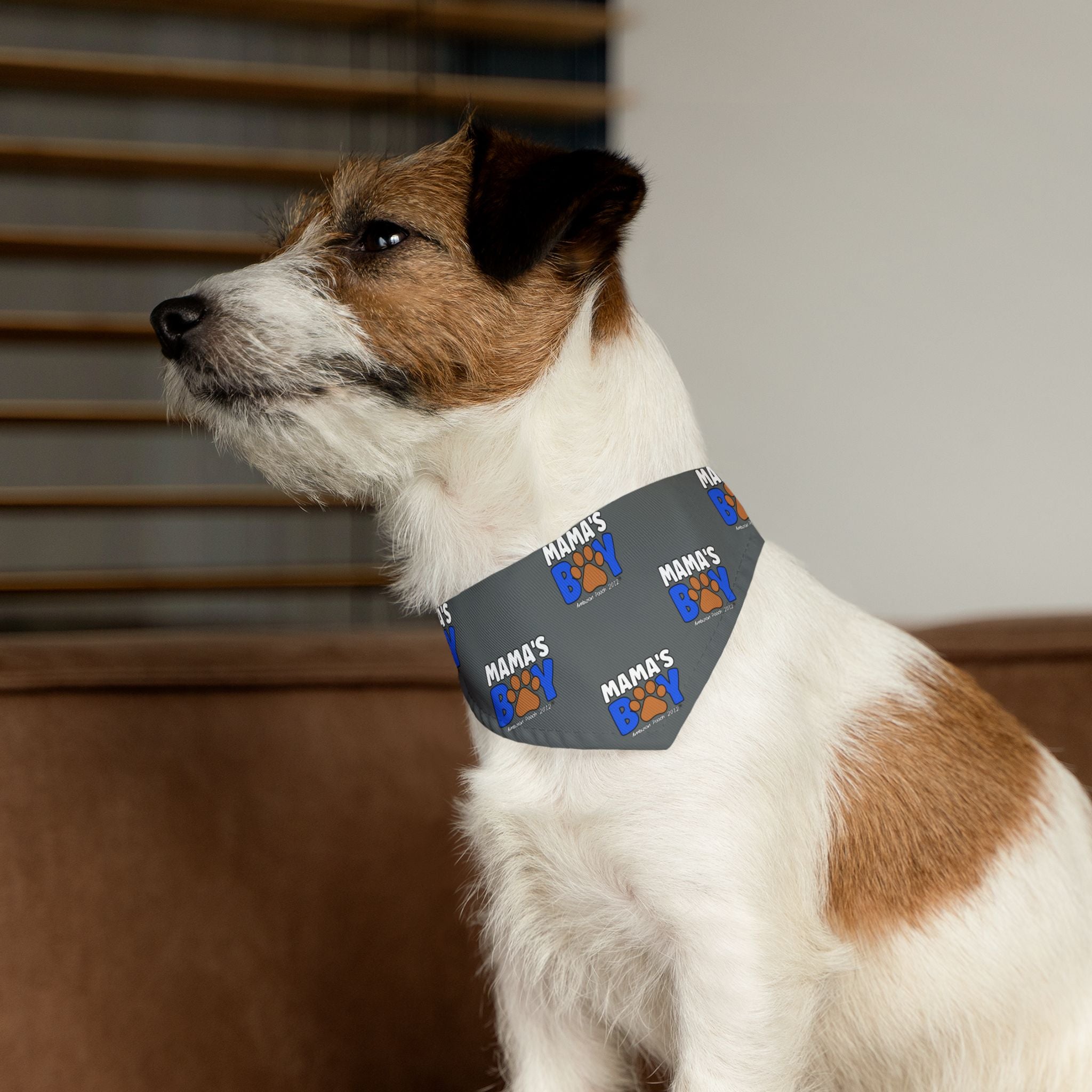 Mama's Boy Pet Bandana Collar Dark Grey