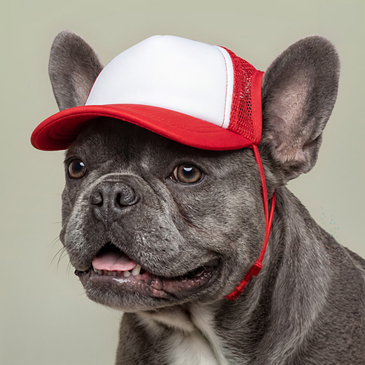 Bad Ass Trucker Doggy Hat - Retro Embroidered Foam Cap for Dogs