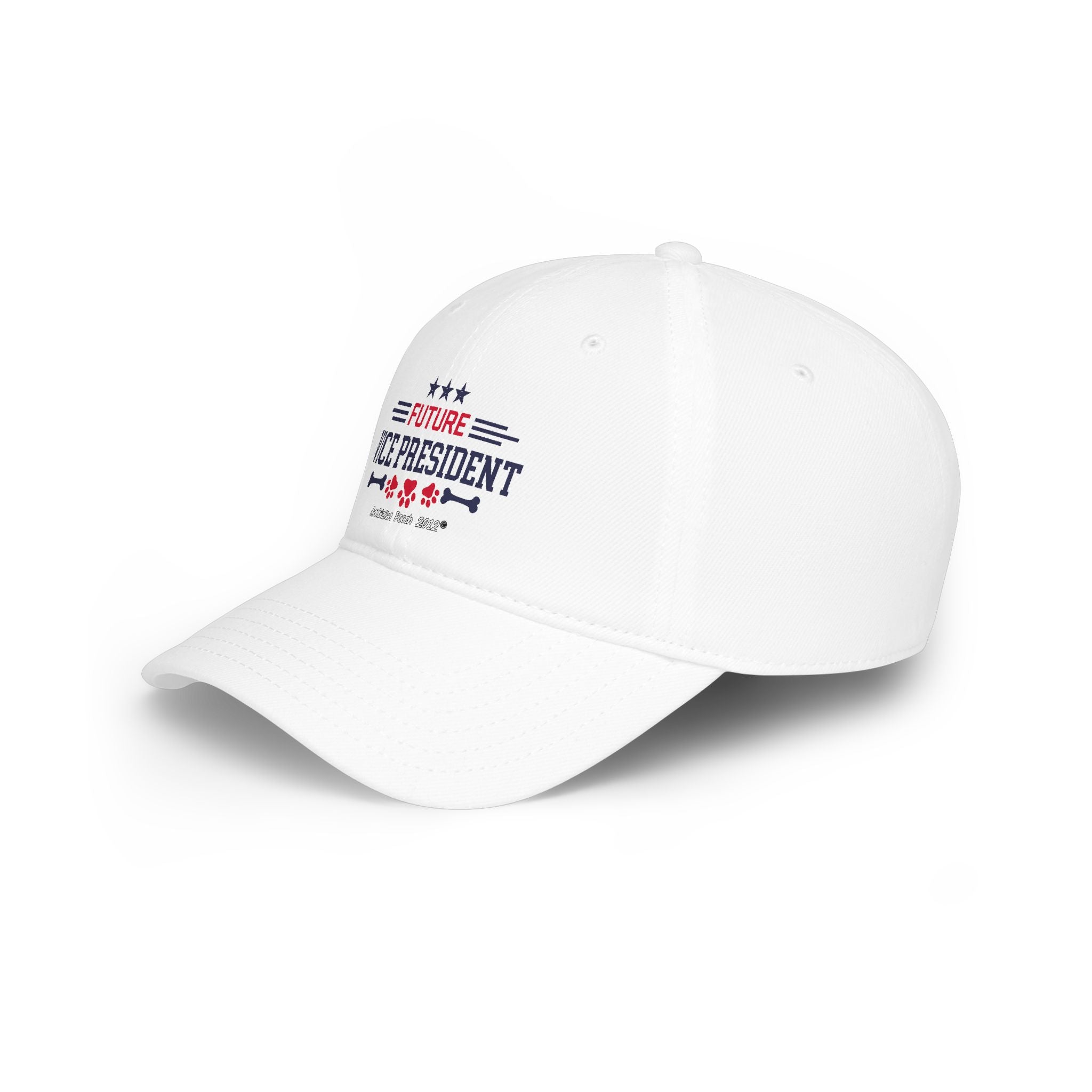 Doggy Parent "Future Vice president" Matching "Future President" Hat