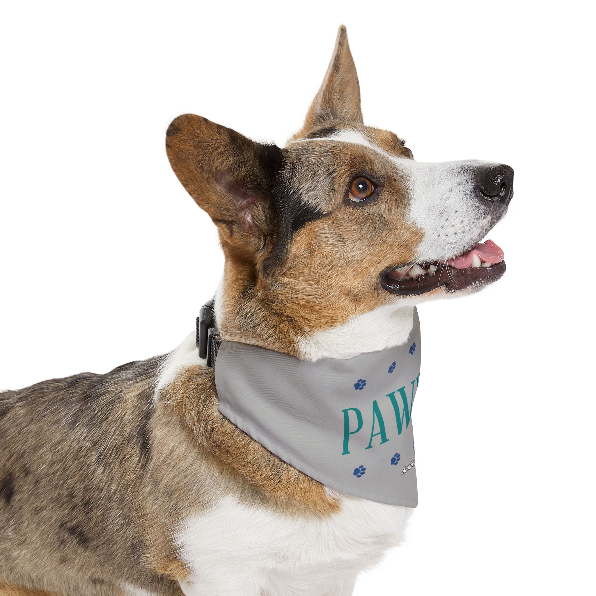 "Pawpular" Pet Bandana Collar — Doggy Parent "Invisible" Matching Pet & Parent