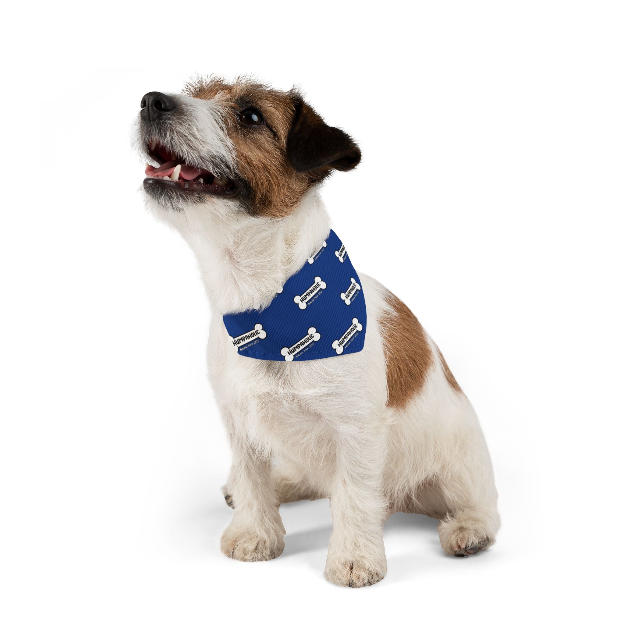 Humpaholic Pet Bandana Collar Blue