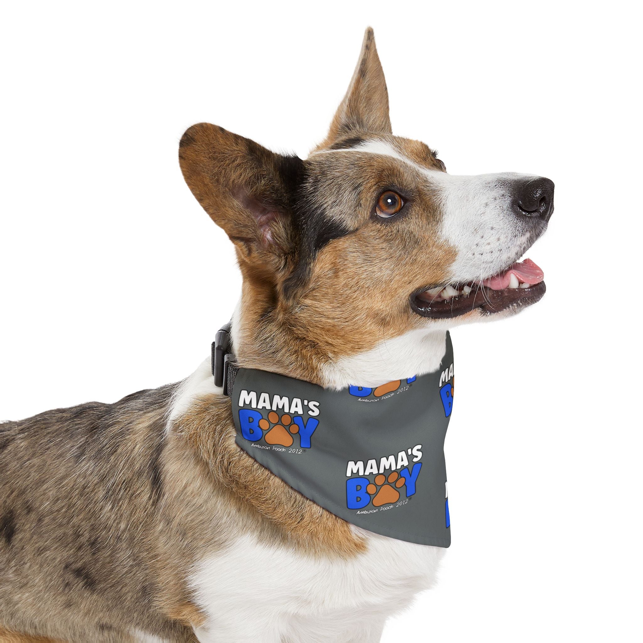 Mama's Boy Pet Bandana Collar Dark Grey