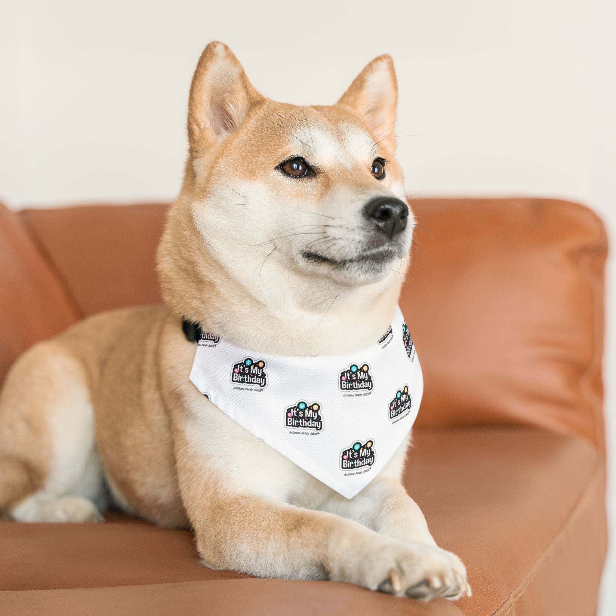It's My Birthday Celebration Doggie Bandana Collar - White