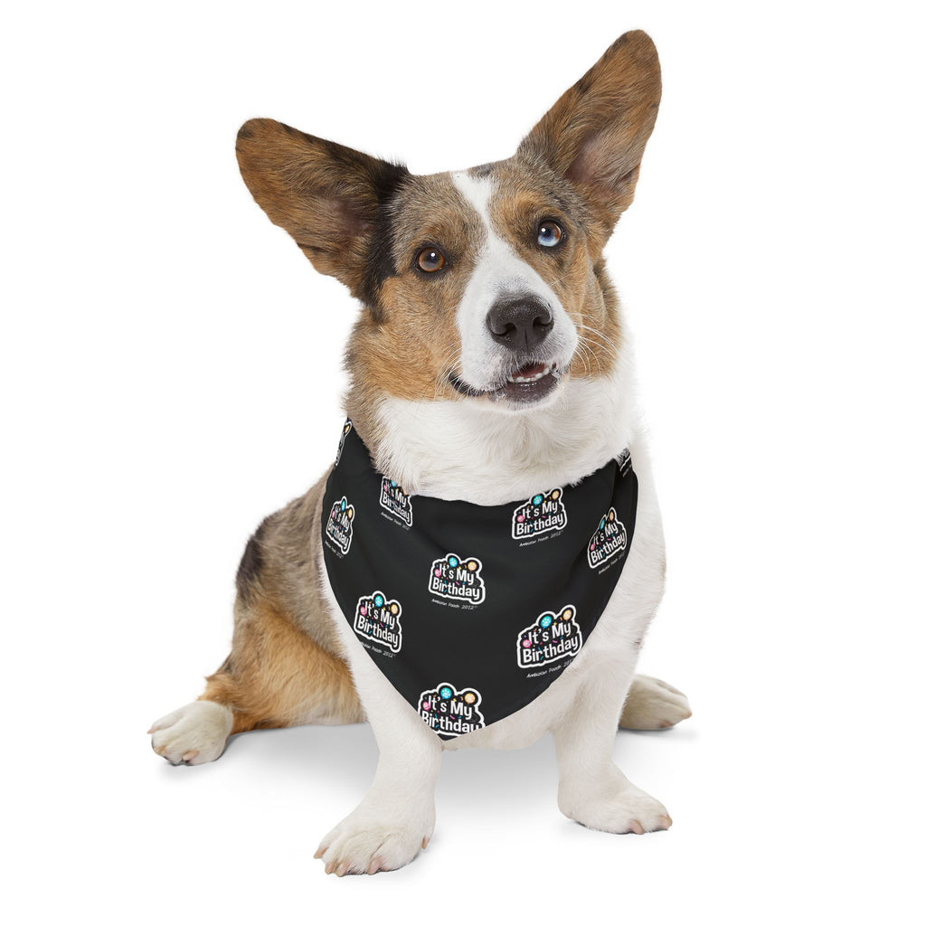 It's My Birthday Celebration Doggie Bandana Collar - Black