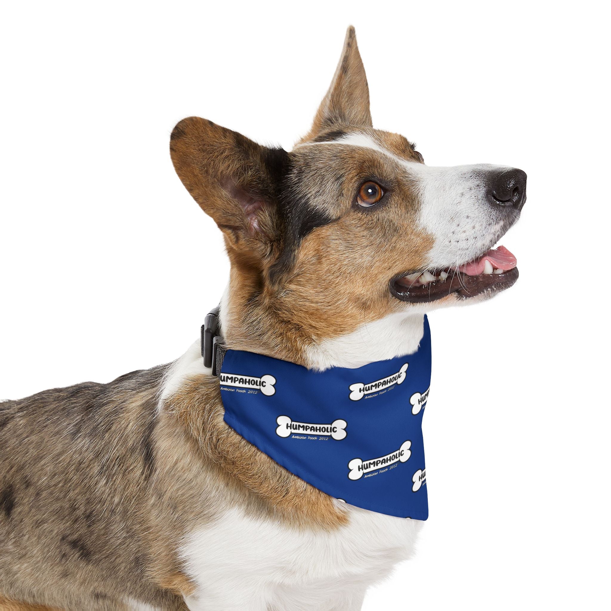 Humpaholic Pet Bandana Collar Blue