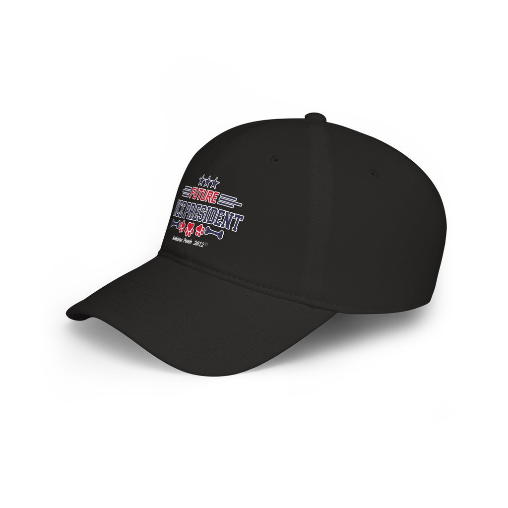 Doggy Parent "Future Vice president" Matching "Future President" Hat