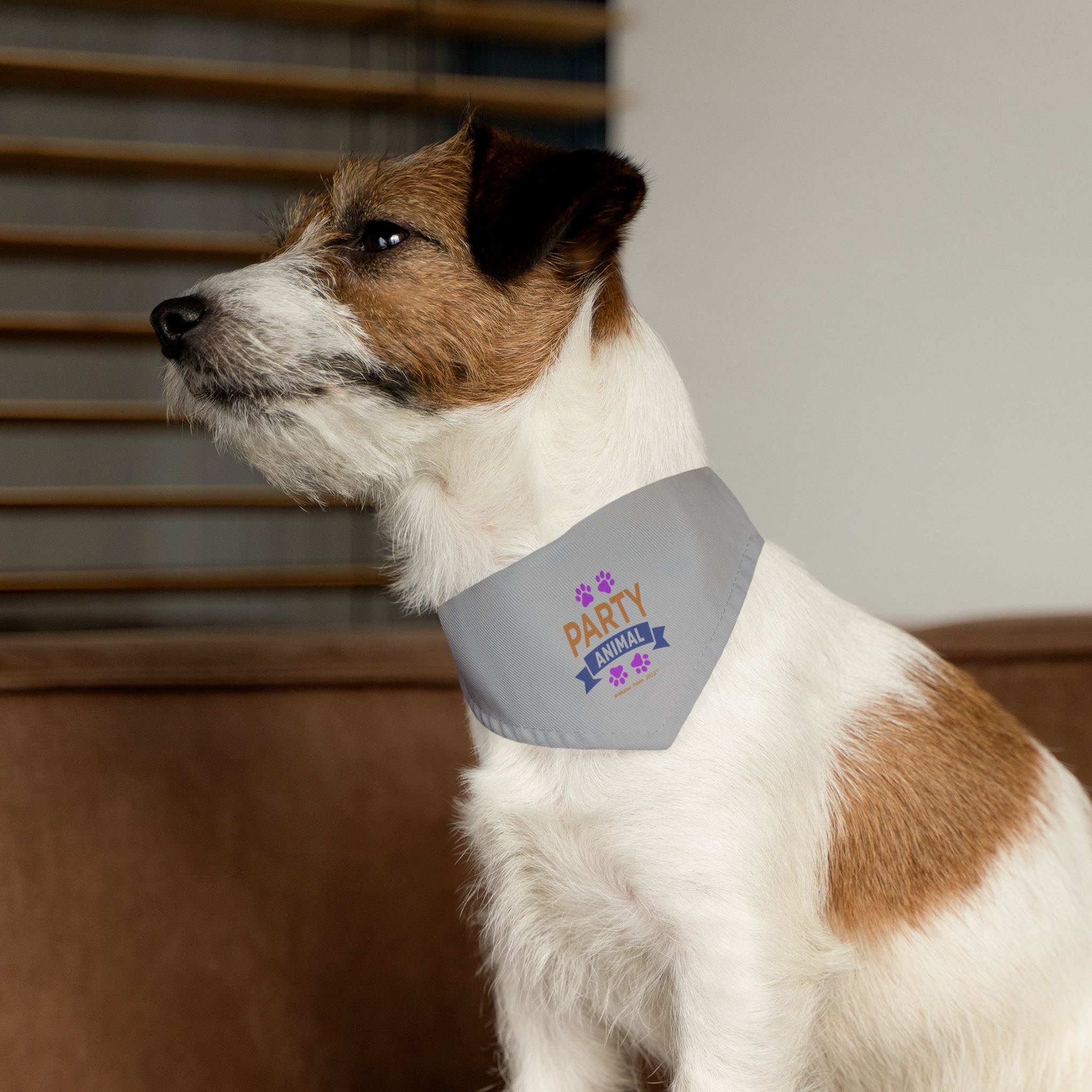 "Party Animal" Pet Bandana Collar — Doggy Parent "Couch Potato" Matching Pet & Parent