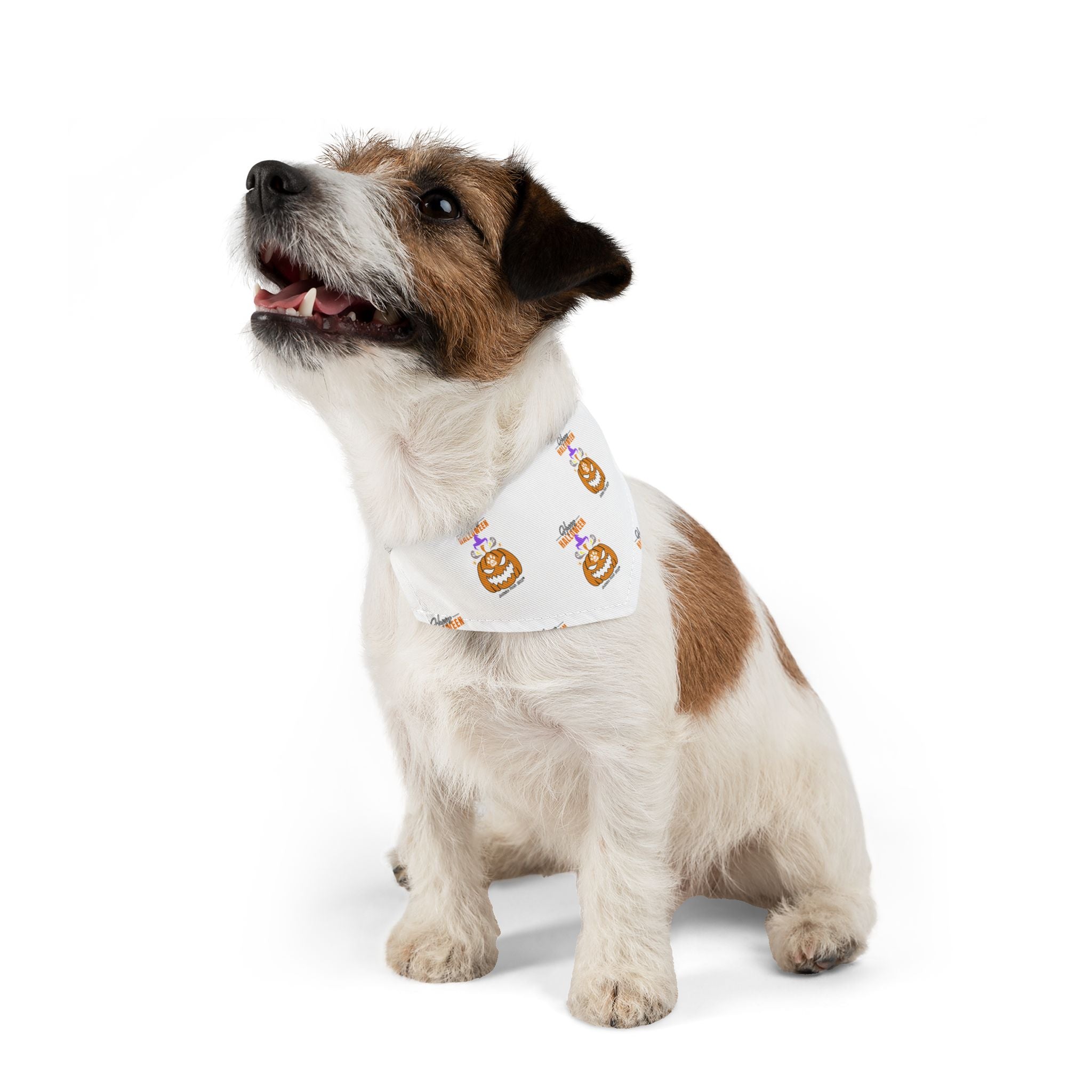 Happy Halloween Bandana Collar for Dogs - White