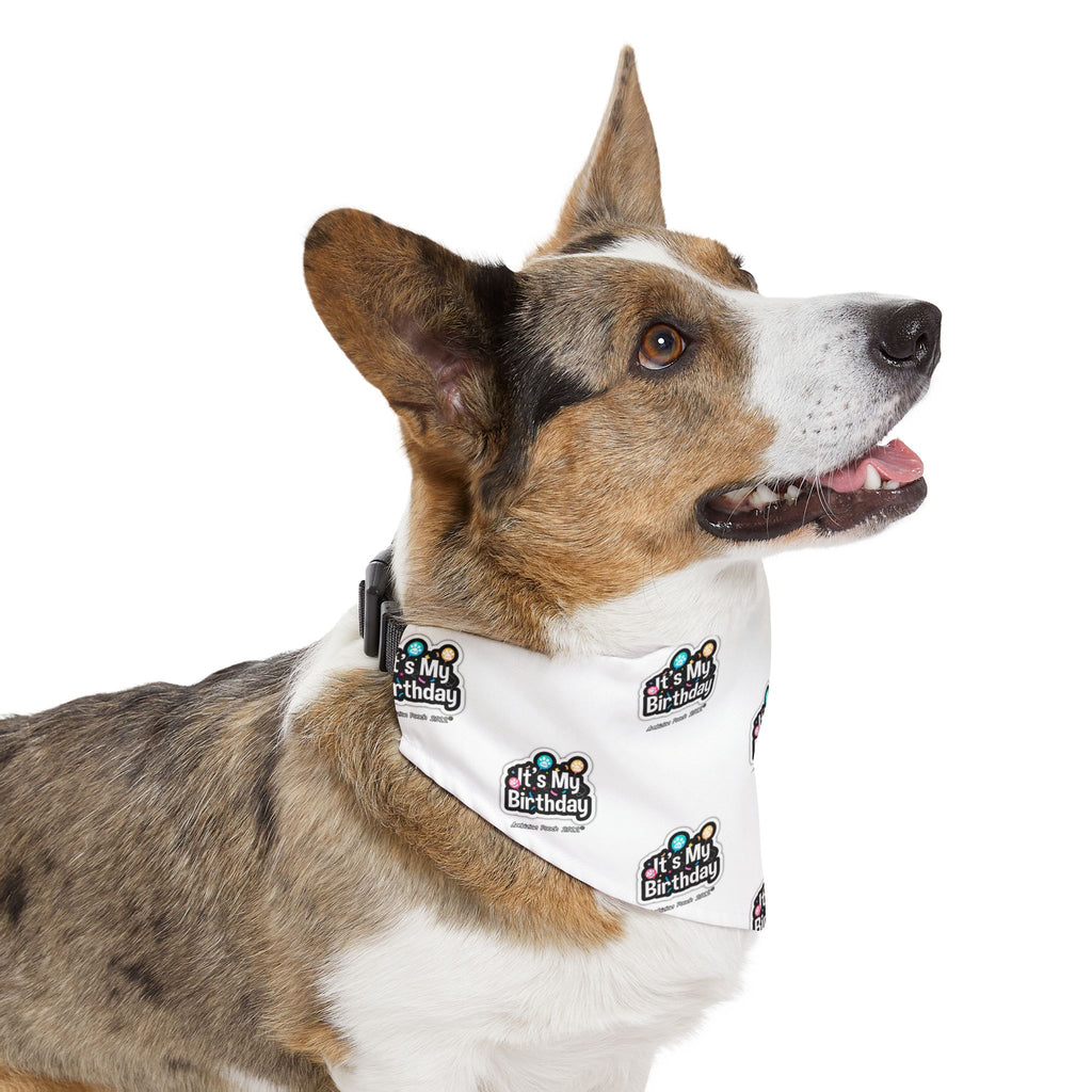 It's My Birthday Celebration Doggie Bandana Collar - White